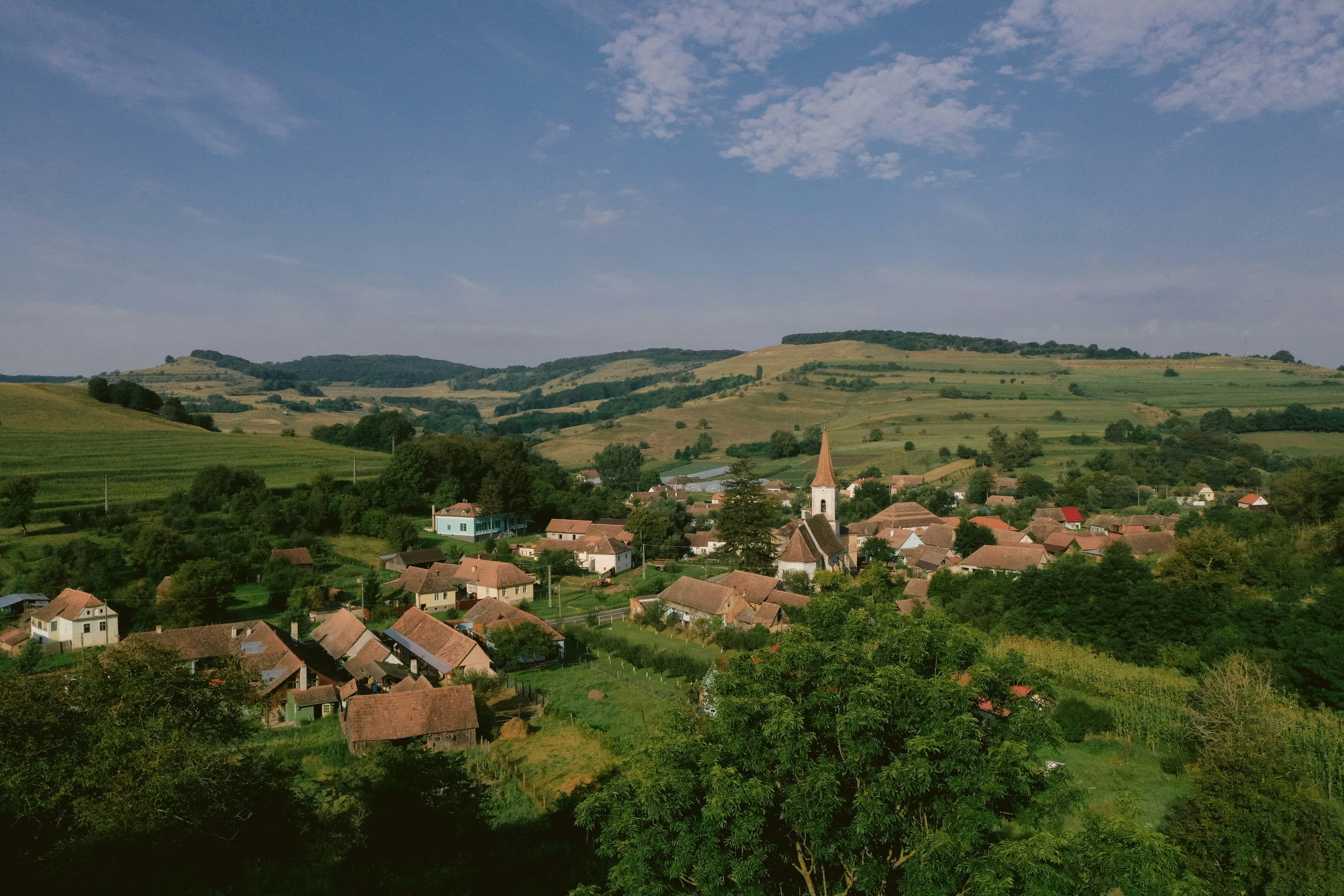 Illustrative aerial view of homes and green spaces in a rural settlement.