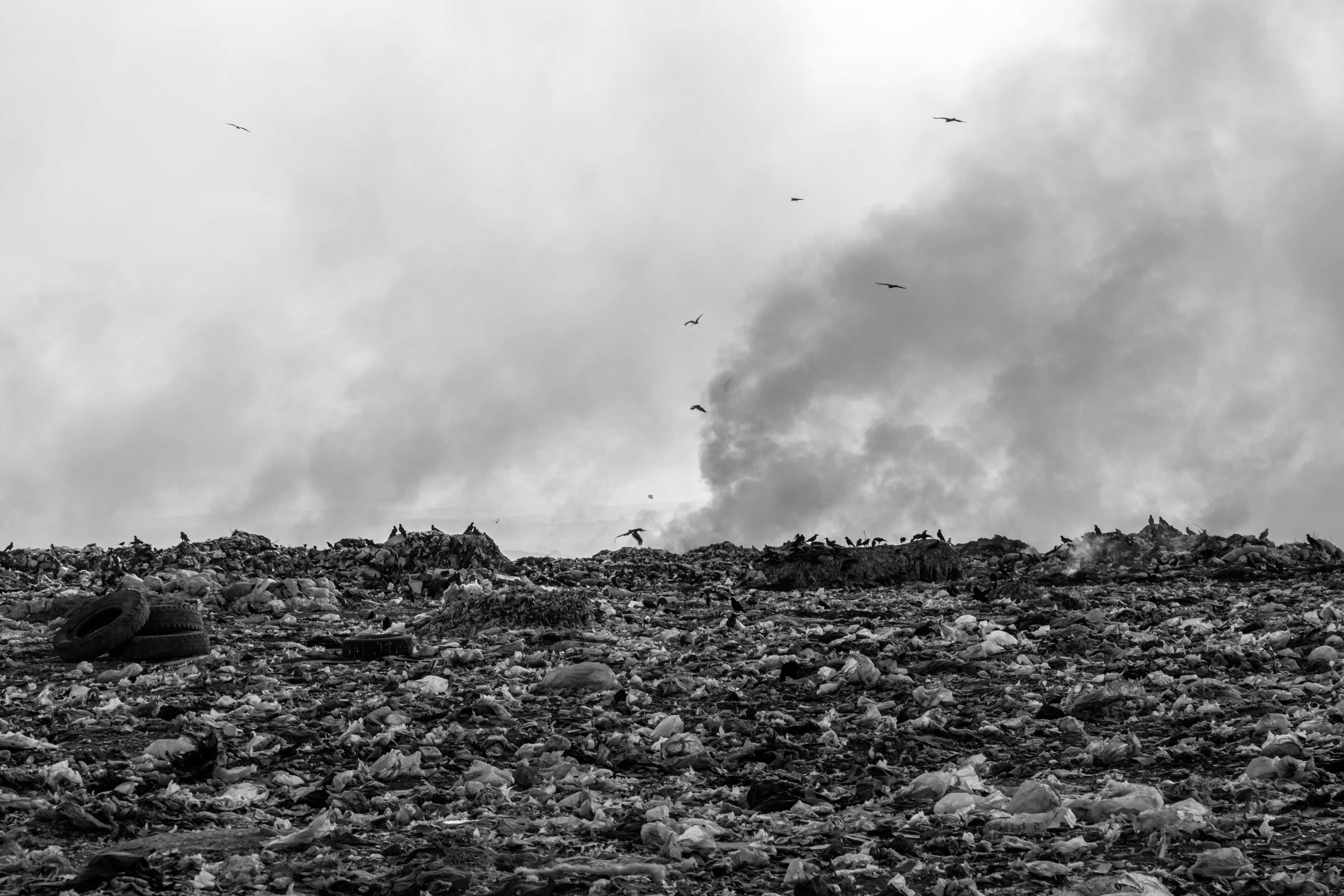 Discarded waste across an open site, with smoke rising and birds overhead.