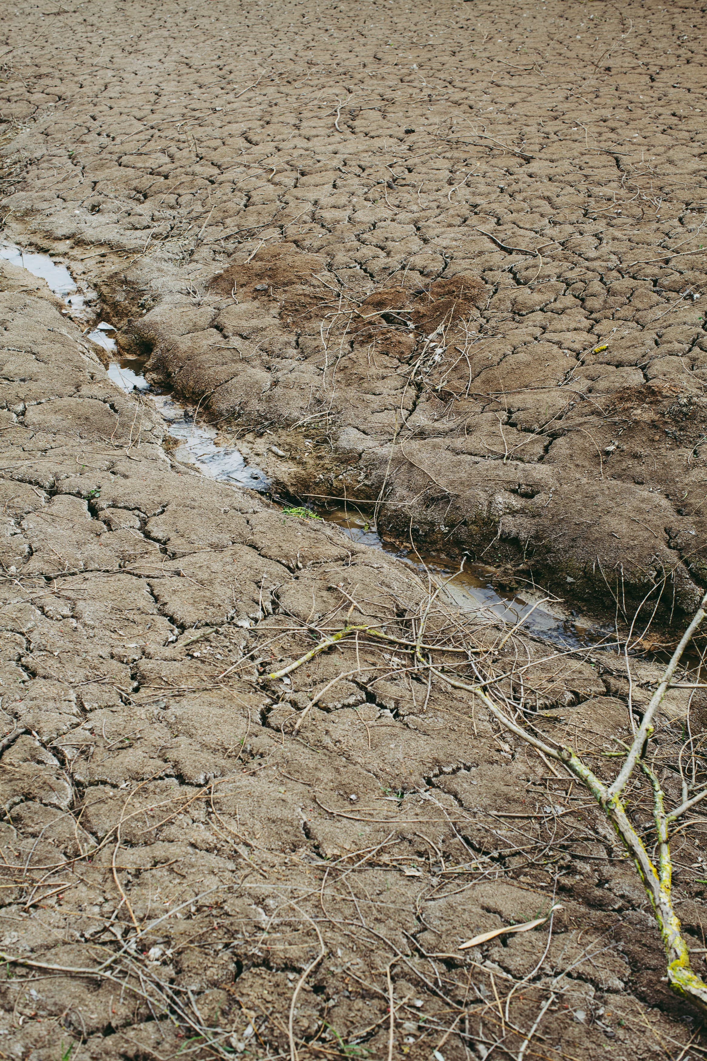Illustrative photograph of a water channel through cracked soil.